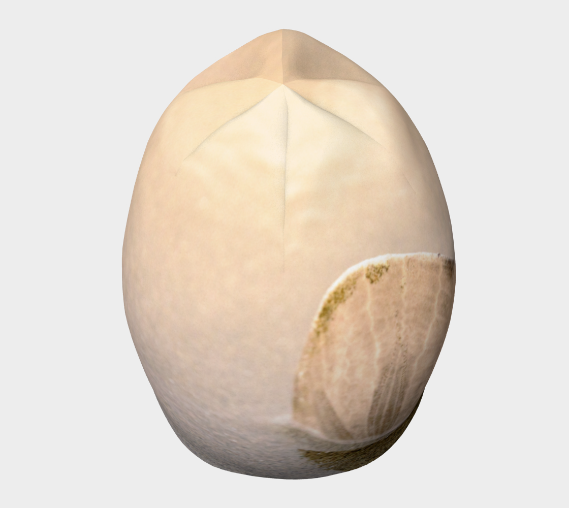 Standing in the Glow Sand Dollar Beanie