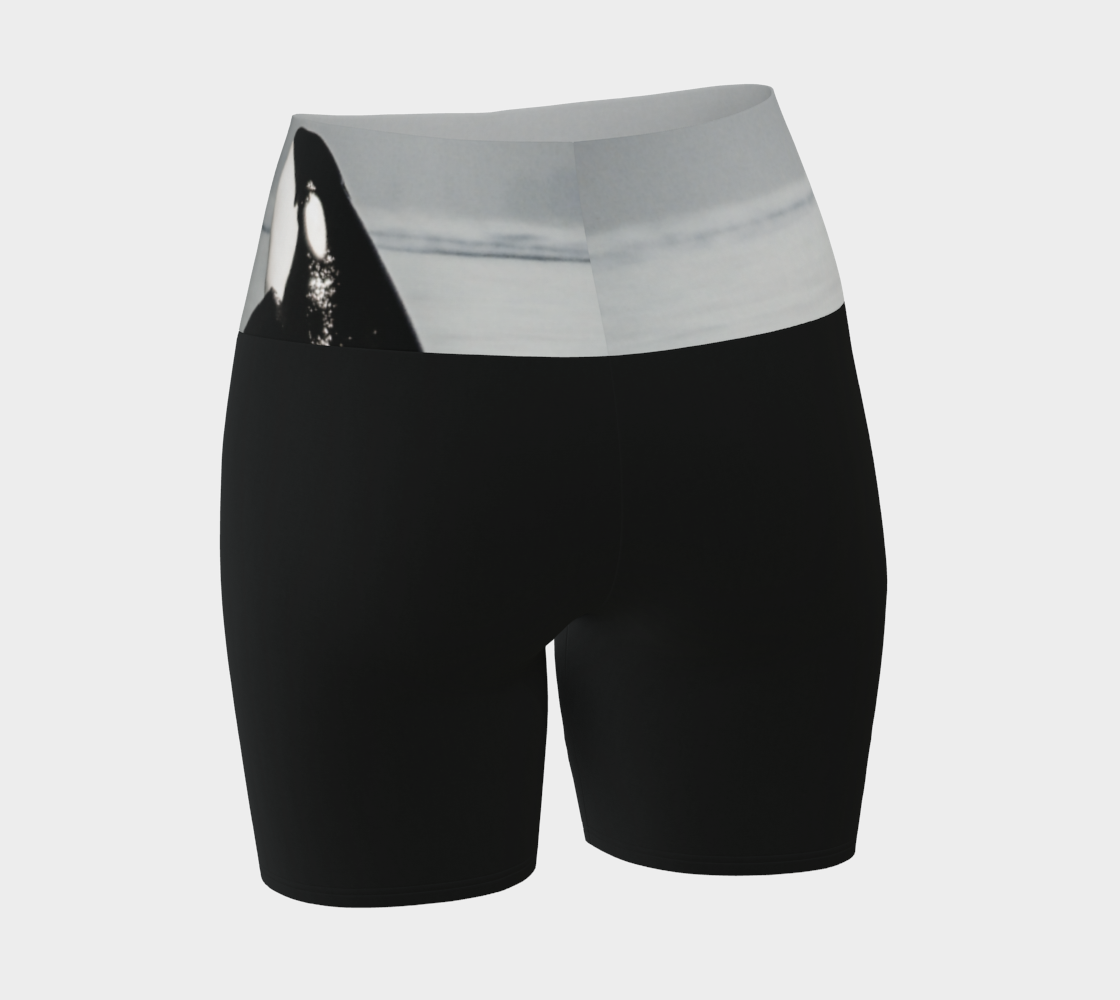 Orca spy Hop yoga shorts features an image of a orca doing the spy hop printed on the waistband. The rest of the shorts are black.