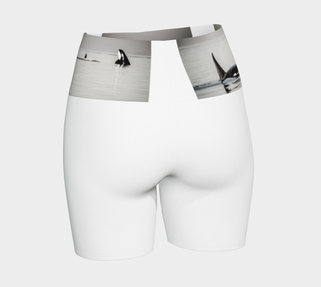 Orca Triptych Yoga Shorts! Made with three stunning orca images printed on the waistband of the yoga shorts. The rest of the shorts are white.