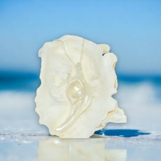 Diamond Star natural seashell pendant with eight mm faceted herkimer diamond. The pendant is hanging by a necklace on a larger seashell. The background is blue with water.