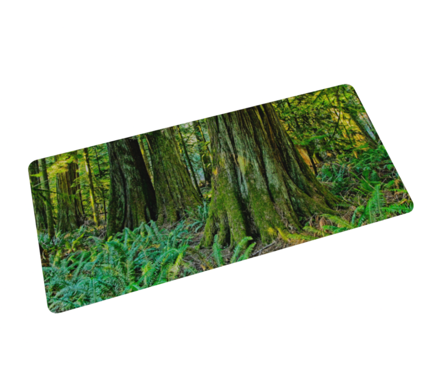 Giants of Cathedral Grove Large Desk Mat