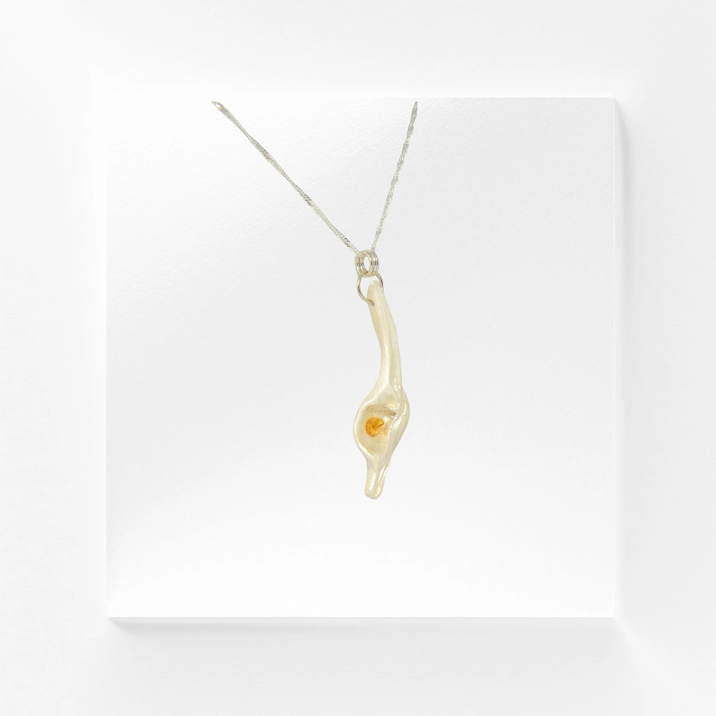 Sun Star natural seashell pendant with a beautiful pear shaped rose cut Citrine. The pendant is turned so the viewer can see the right side of the pendant.