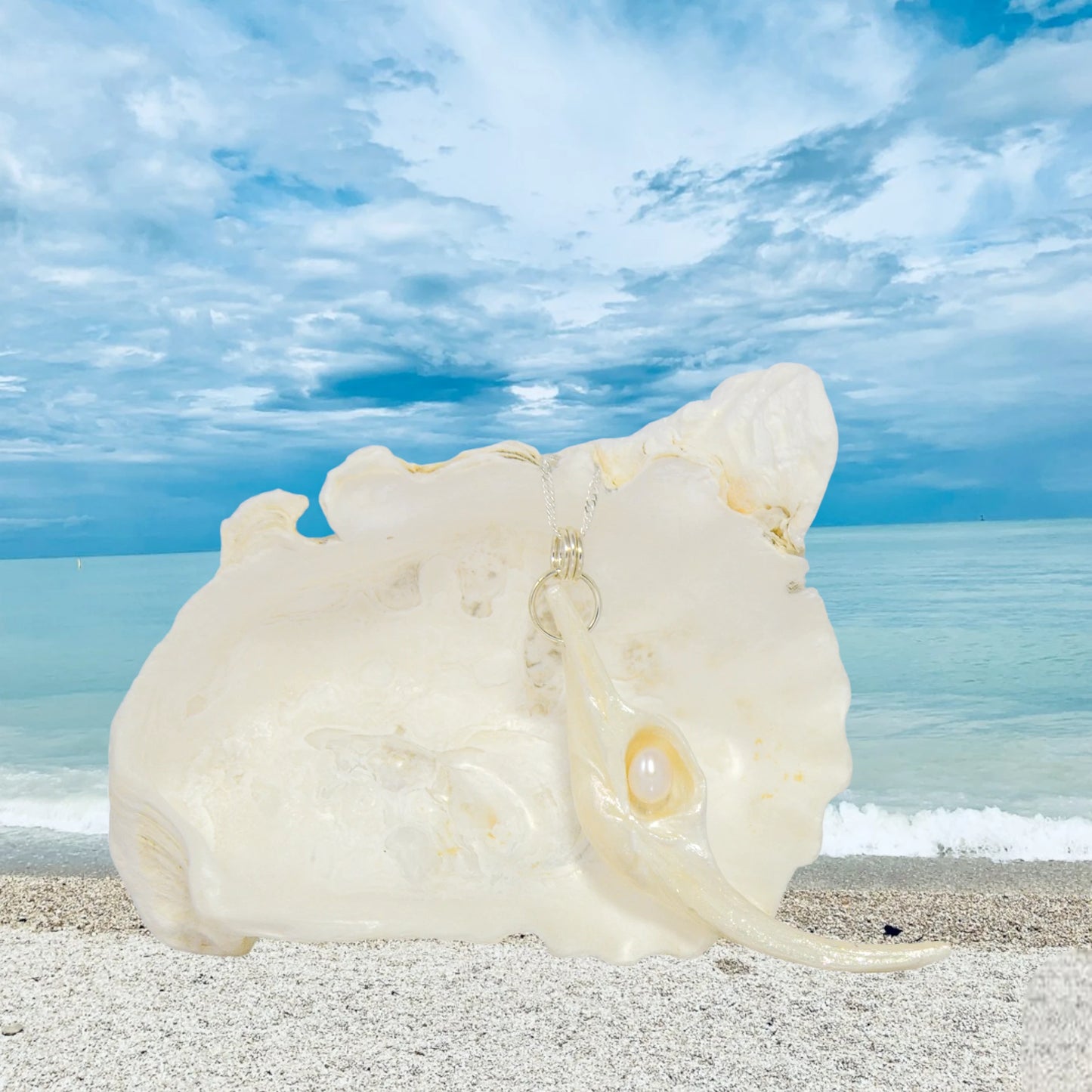 Jupiter is a natural seashell pendant with a real freshwater pearl. The pendant is shown hanging on a larger seashell. The ocean is in the background.