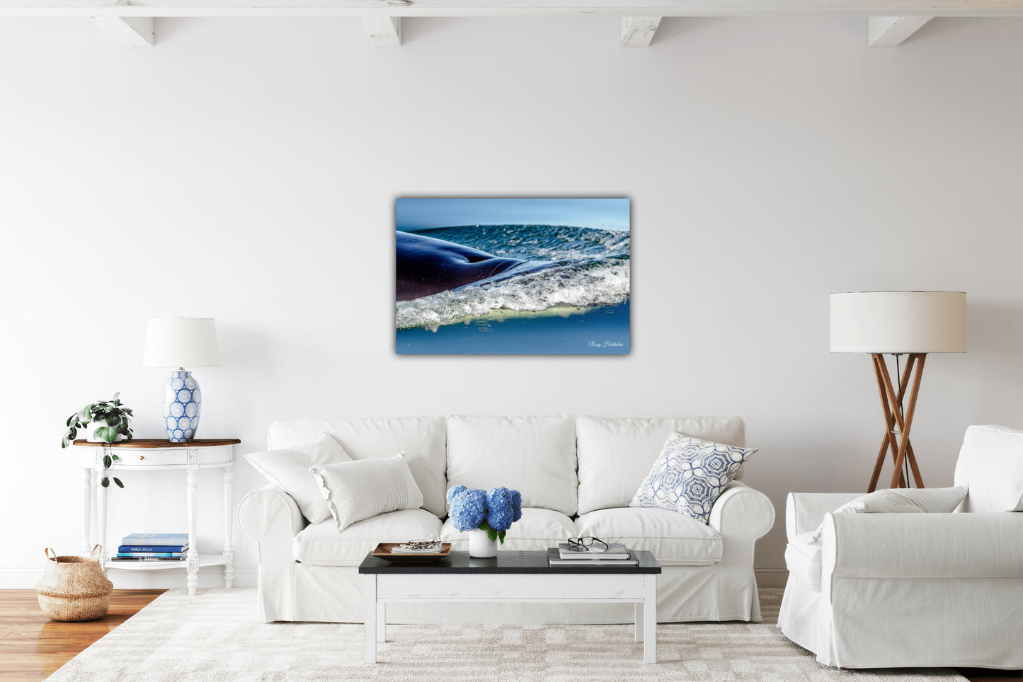 Orca to the Surface Photography by Roxy Hurtubise