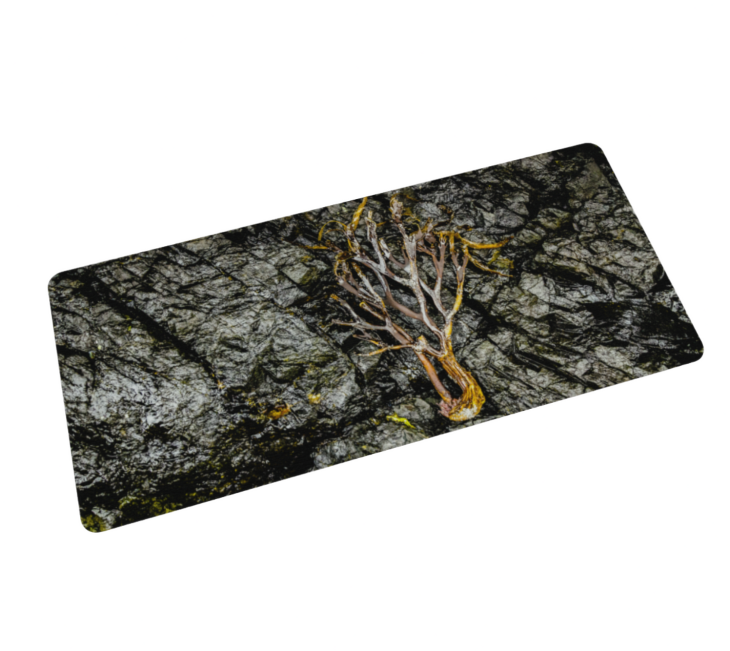 Sea To Tree Large Desk Mat