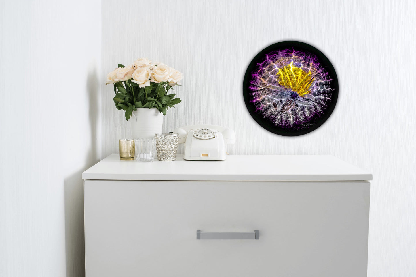 Spotlight Sand Dollar Photography Round Aluminum