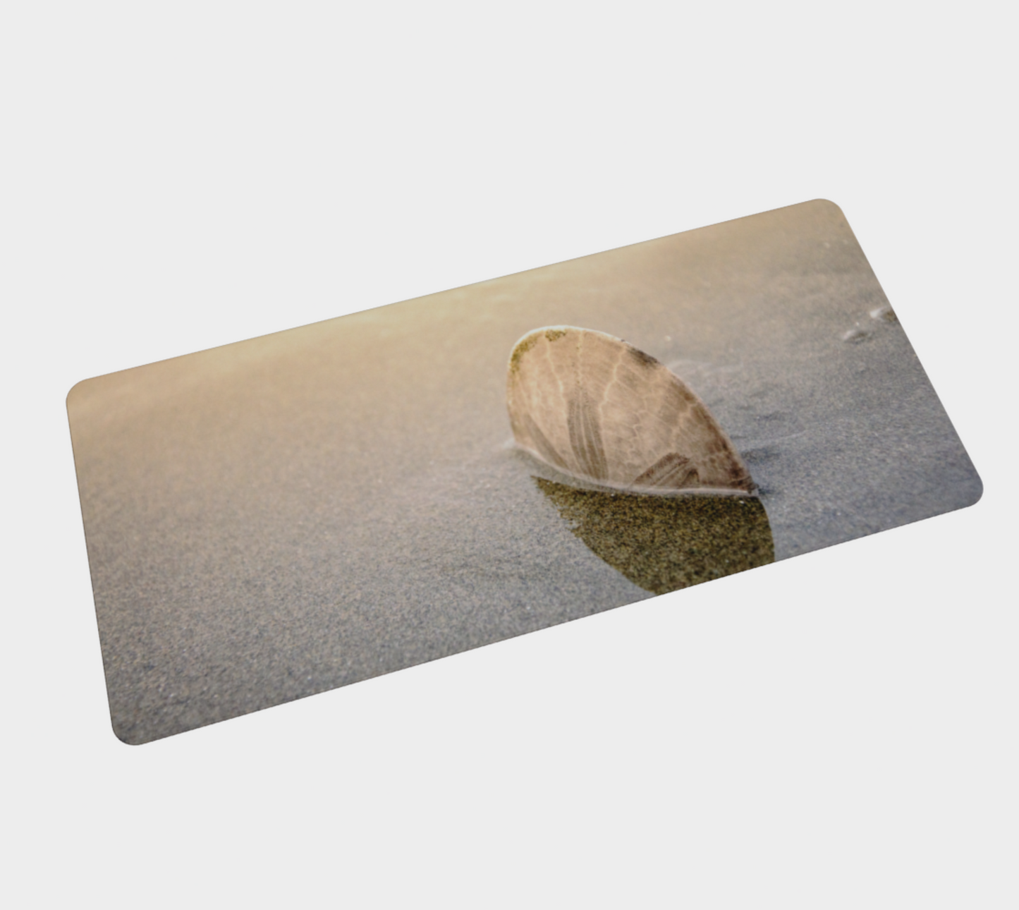 Standing in the Glow Sand Dollar Large Desk Mat