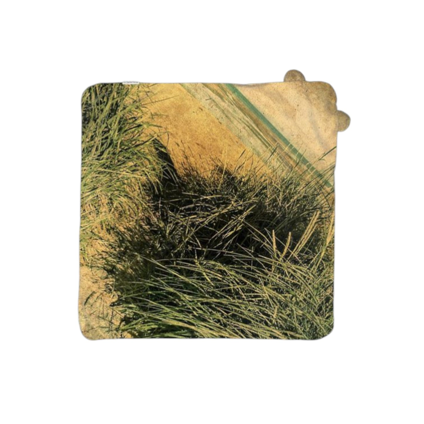 Vintage Beach Baby Hooded Towel