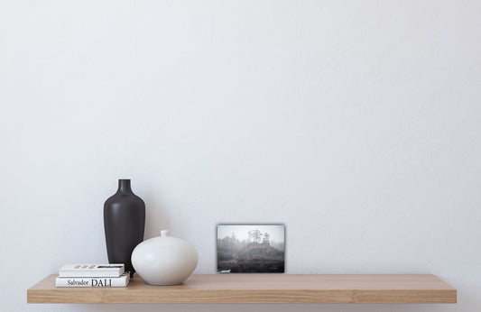 West Coast Ocean Fog Photography by Roxy