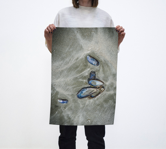 Mussel Shells on Chesterman Beach Tofino Tea Towels Vancouver Island photography by Roxy Hurtubise VanIsleGoddess.com