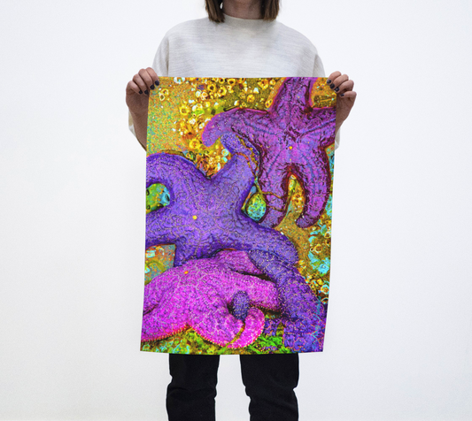 Starfish Cluster Tea Towels Vancouver Island photography by Roxy Hurtubise VanIsleGoddess.com