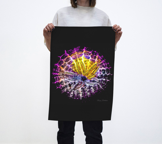 Spotlight Sand Dollar Tea Towels photography by Roxy Hurtubise VanIsleGoddess.com