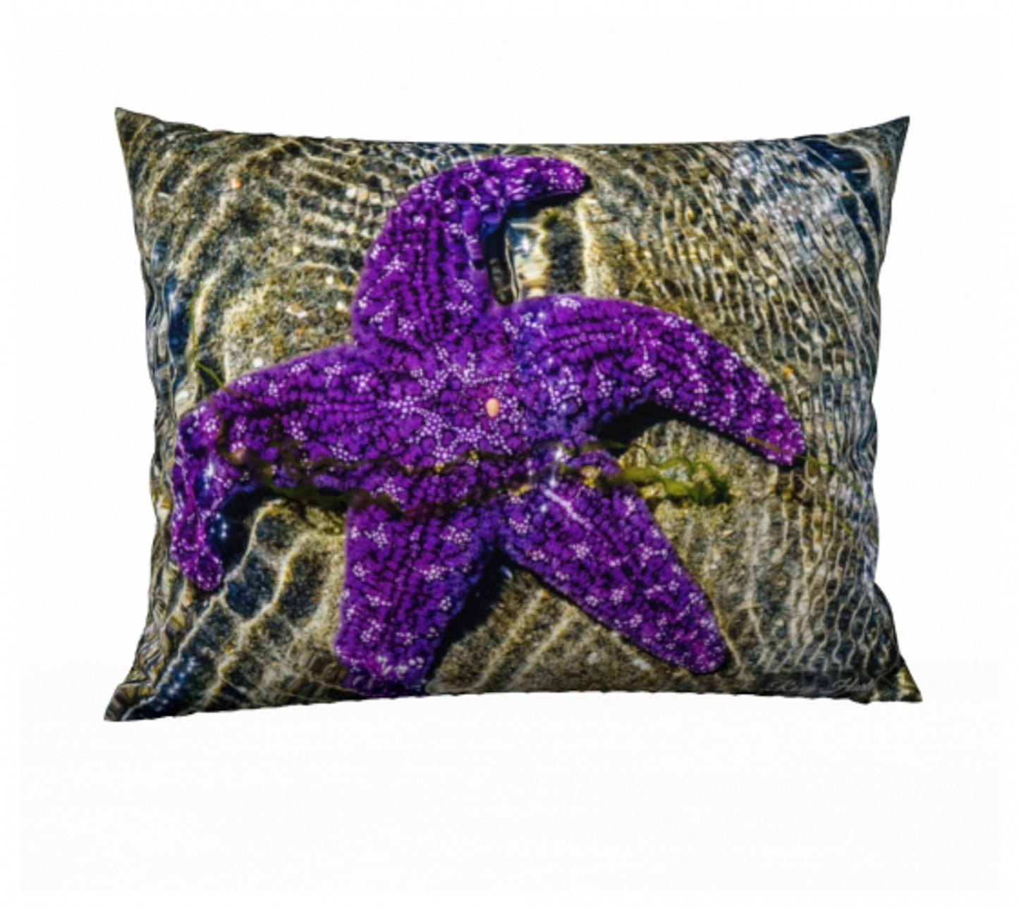Amazing Starfish 26" x 20" Throw Pillow Cover