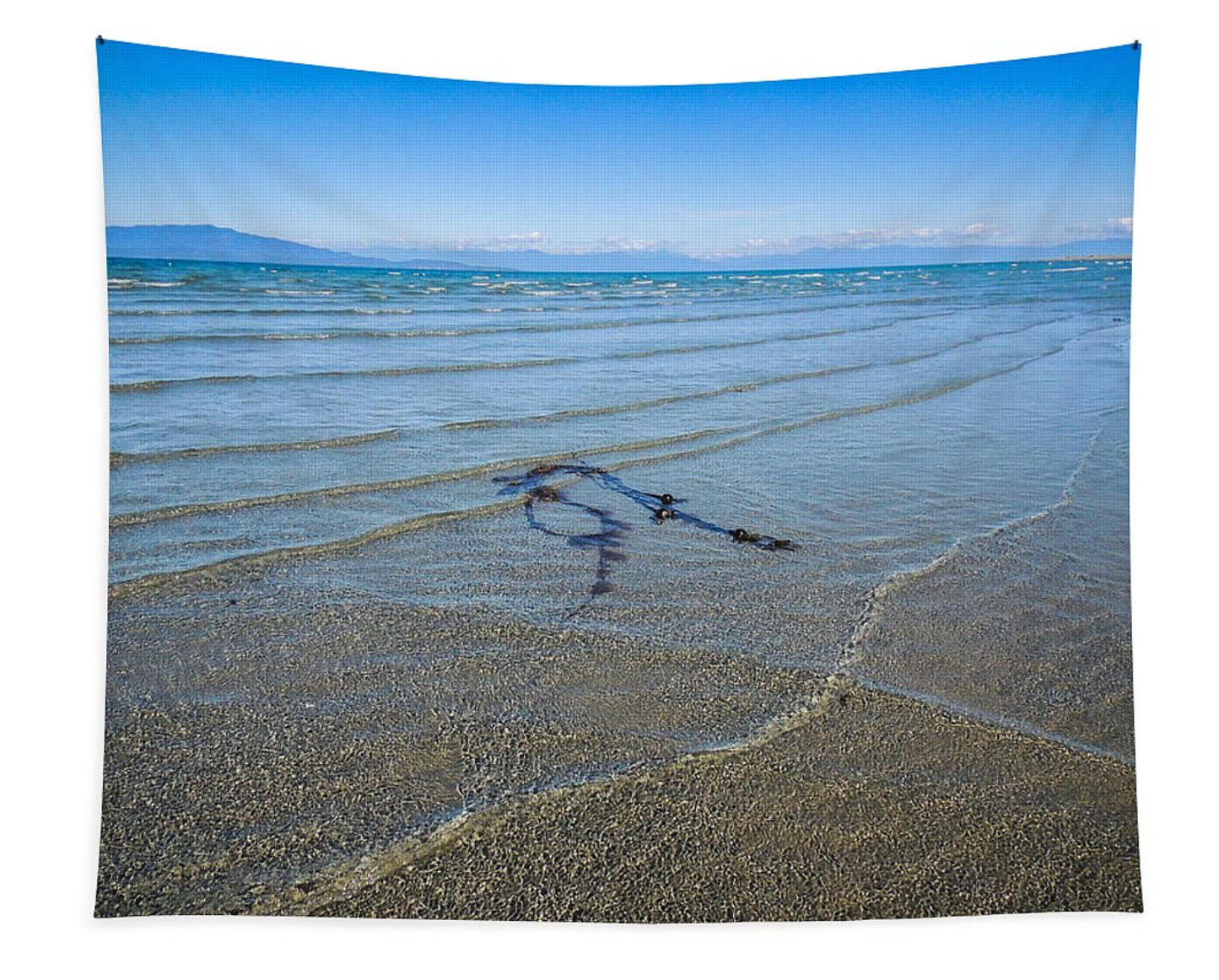 Low Tide Sway Parksville Beach Wall Tapestry