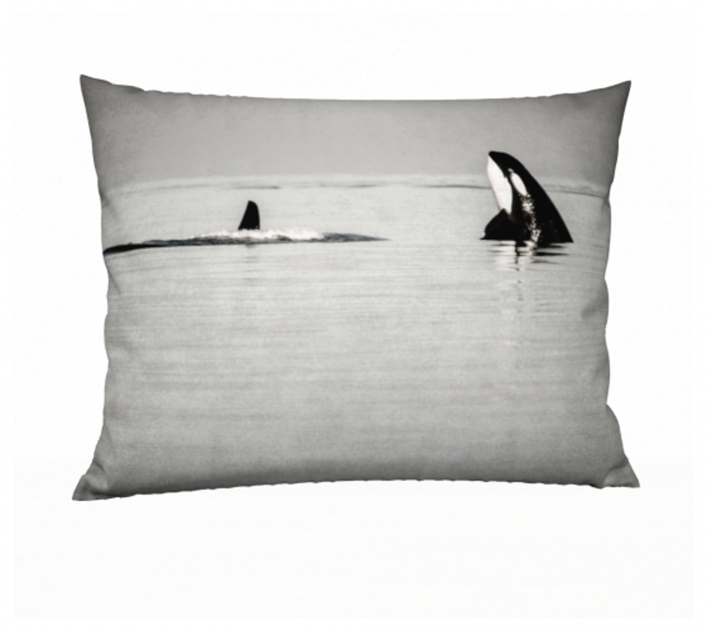 Orca Spy Hop 26" x 20" Throw Pillow Cover