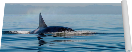 Orca Spray Yoga Mat