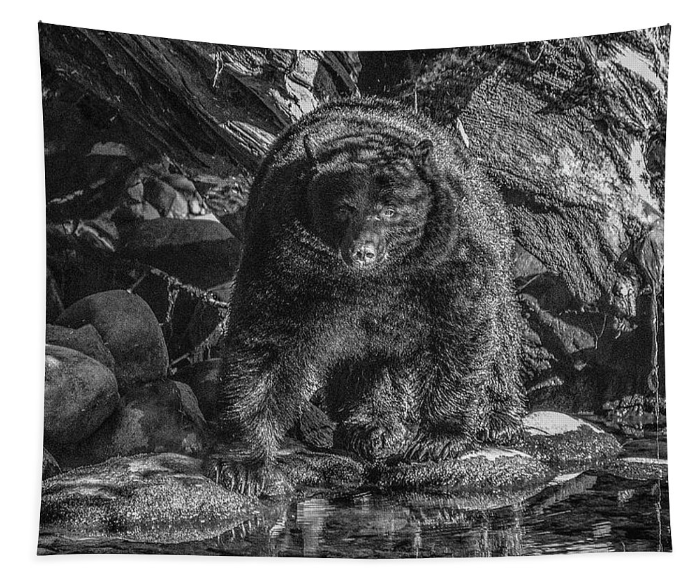 Salmon Seeker Wall Tapestry