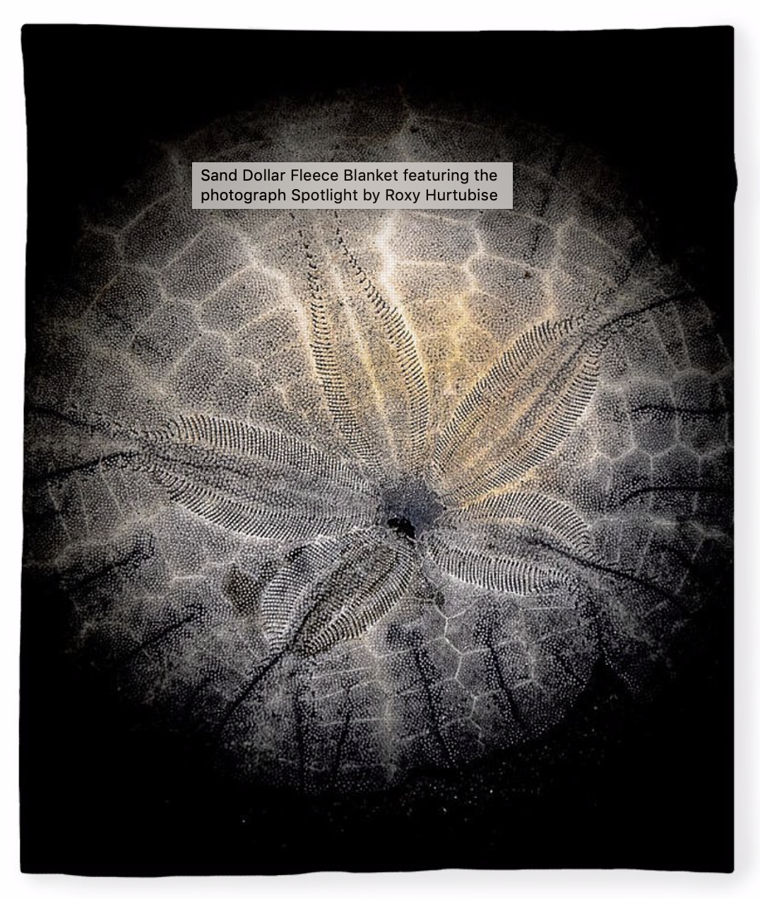 Spotlight Sand Dollar Fleece Blankets Van Isle Goddess