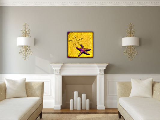 Star Track Starfish Photography by Roxy Hurtubise