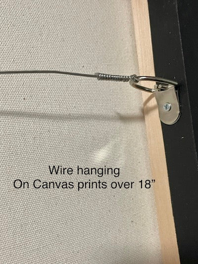 Orca to the Surface Photography by Roxy Hurtubise