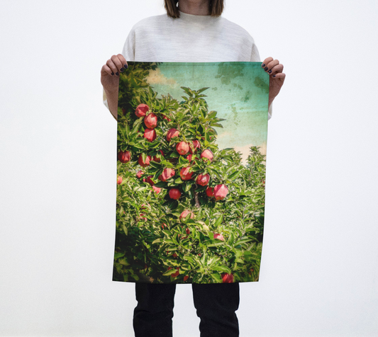 The Old Apple Tree Tea Towel