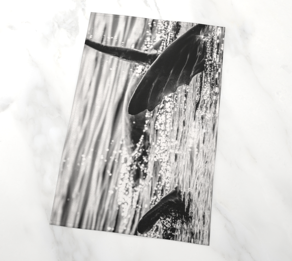Sea Lions Frolic on Vancouver Island Tea Towels photography by Roxy Hurtubise VanIsleGoddess.com