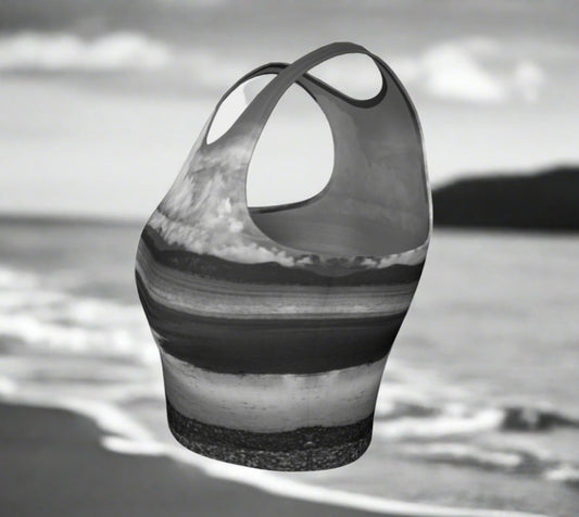 Parksville Beach Active Crop Top Image is a photograph of Parksville Beach at low tide.