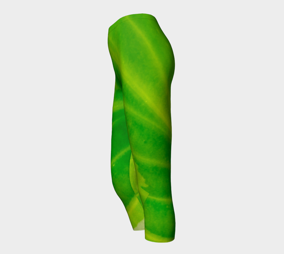 Hosta Green Capris by Roxy Hurtubise side
