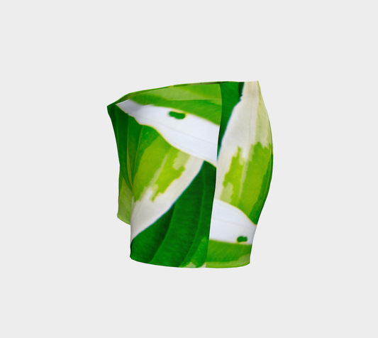 Hosta Green Shorts Leftside