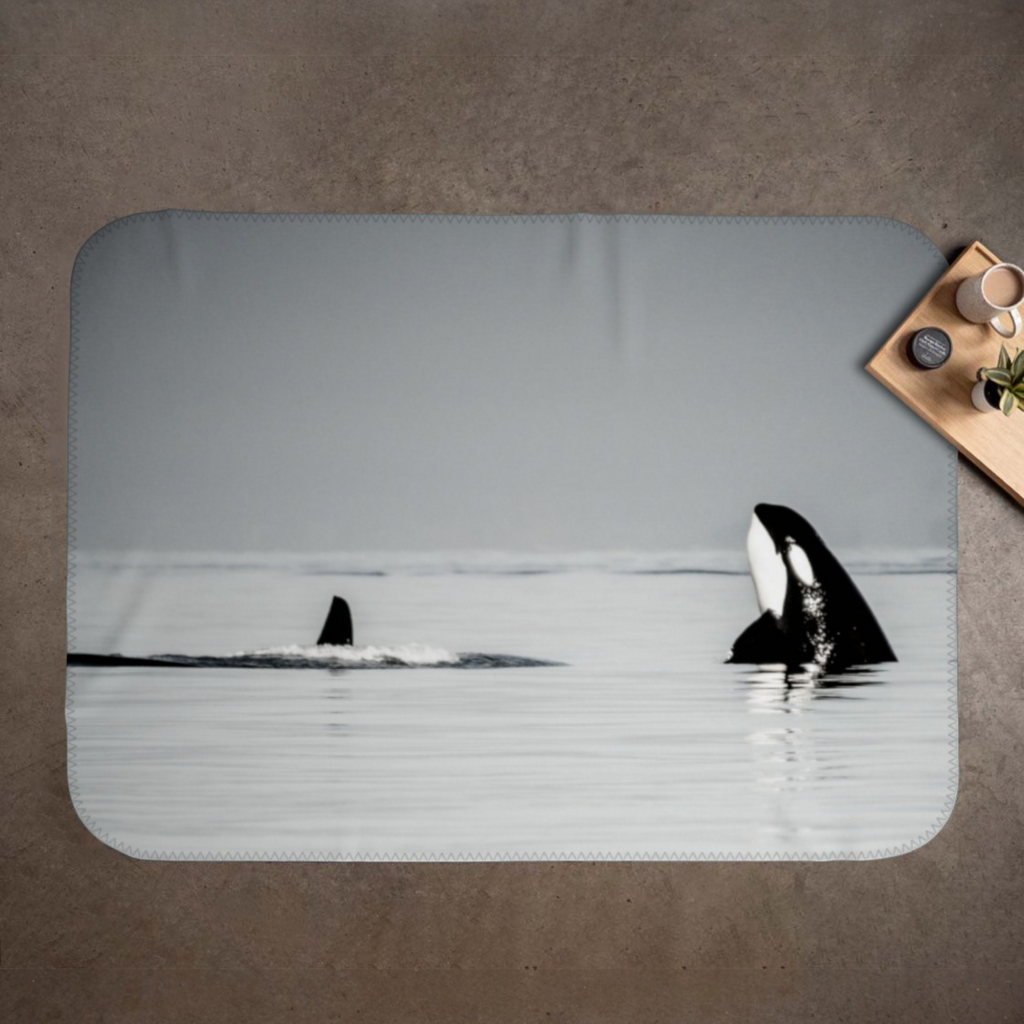 Orca Spy Hop Coastal Blanket