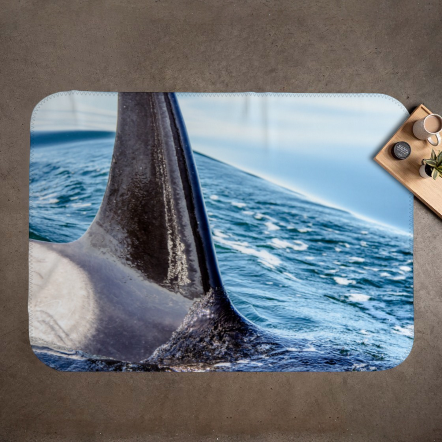 Orca Apex Coastal Blanket