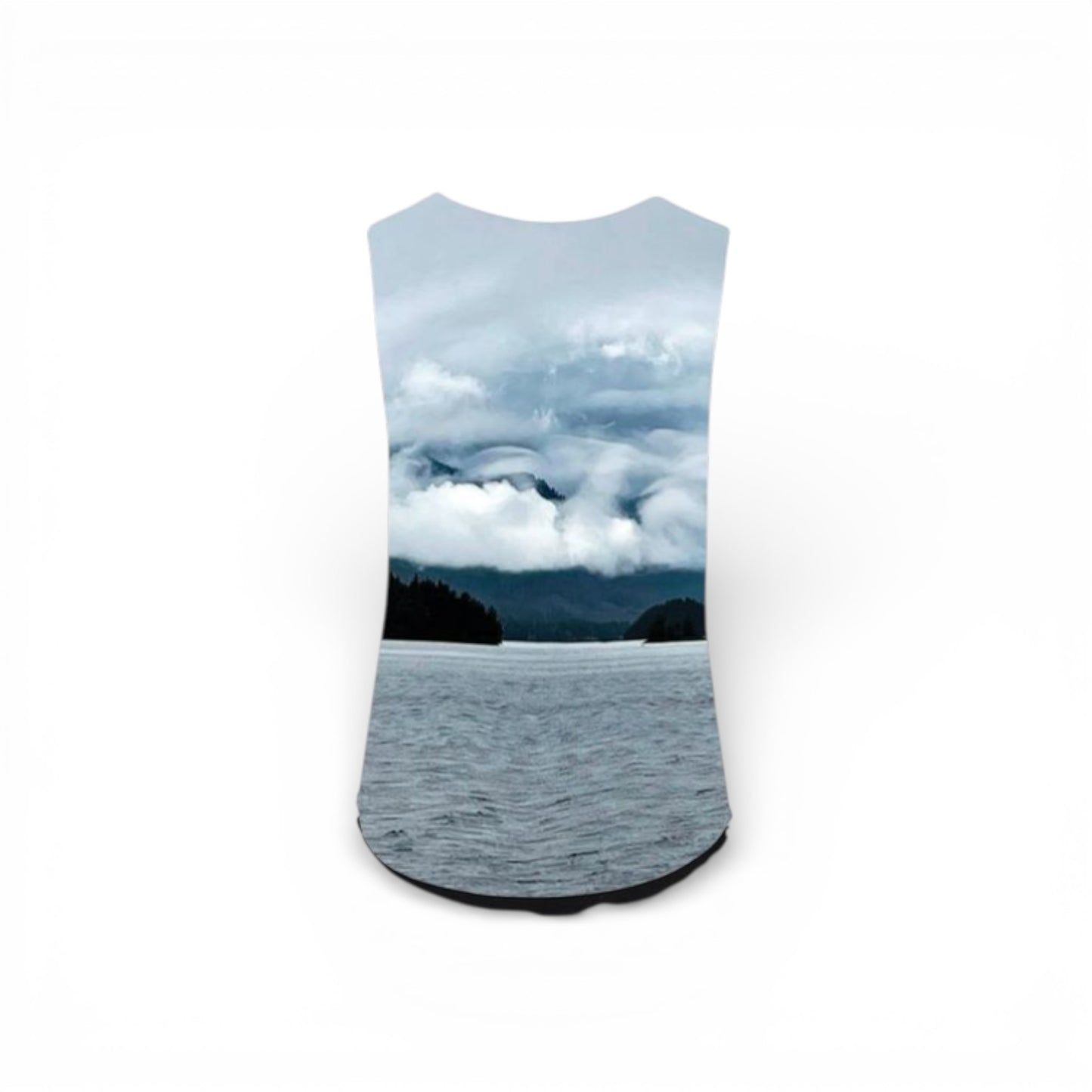 reverse side of the Alberni Inlet Kaplan Tank