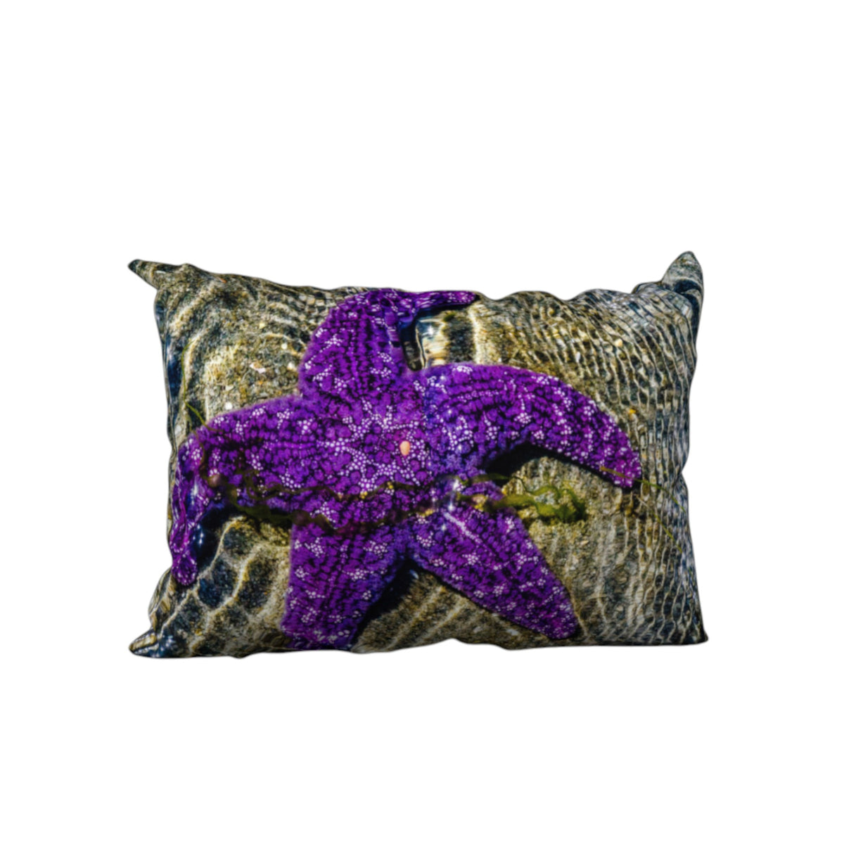 Pillow with a starfsih design.
