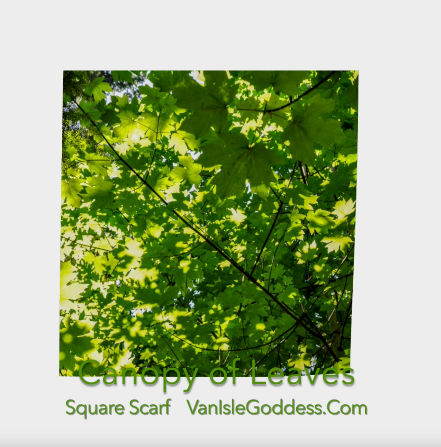 Canopy of Leaves square scarf shown .