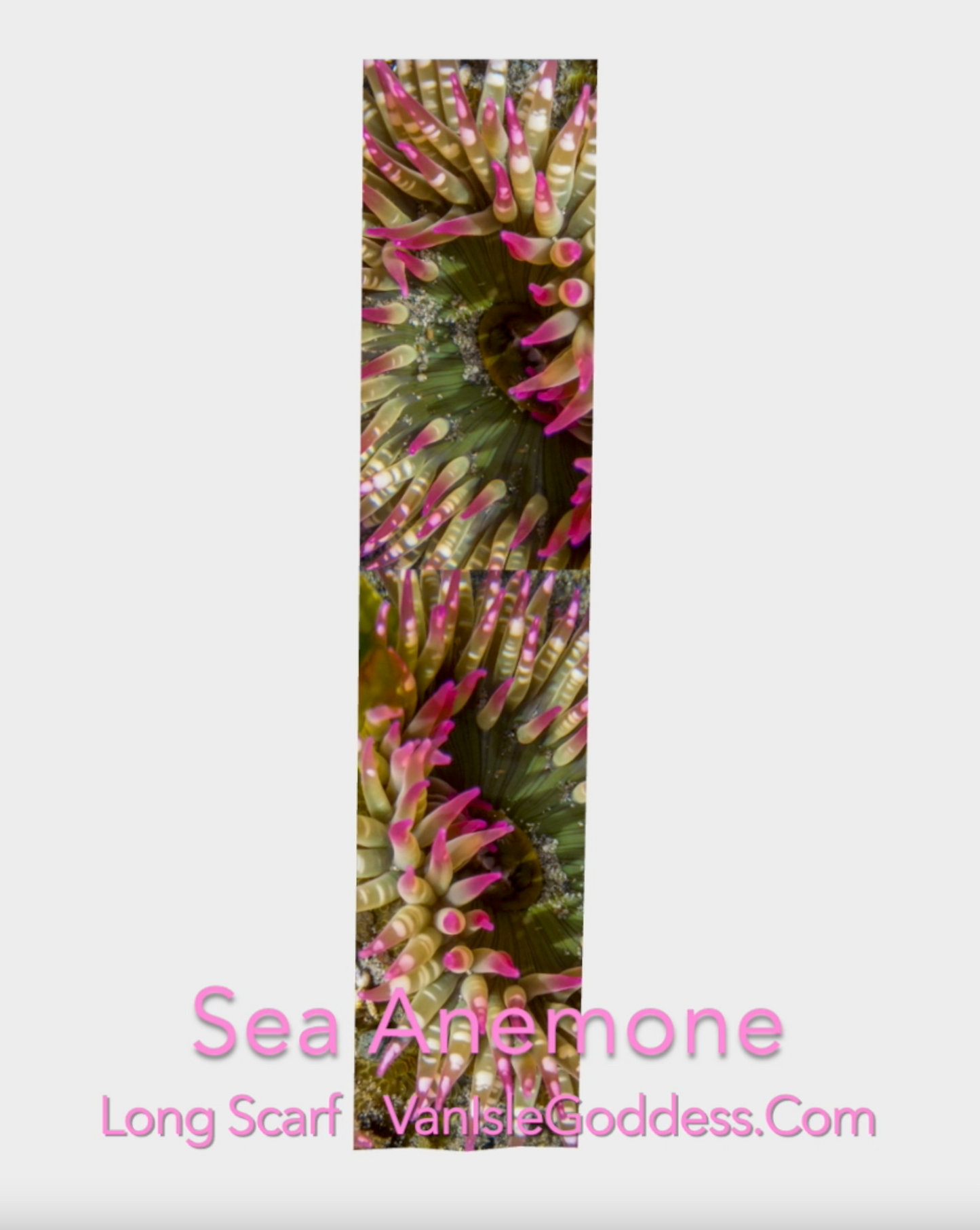 Showing the enchanted sea anemone long scarf in is full length.