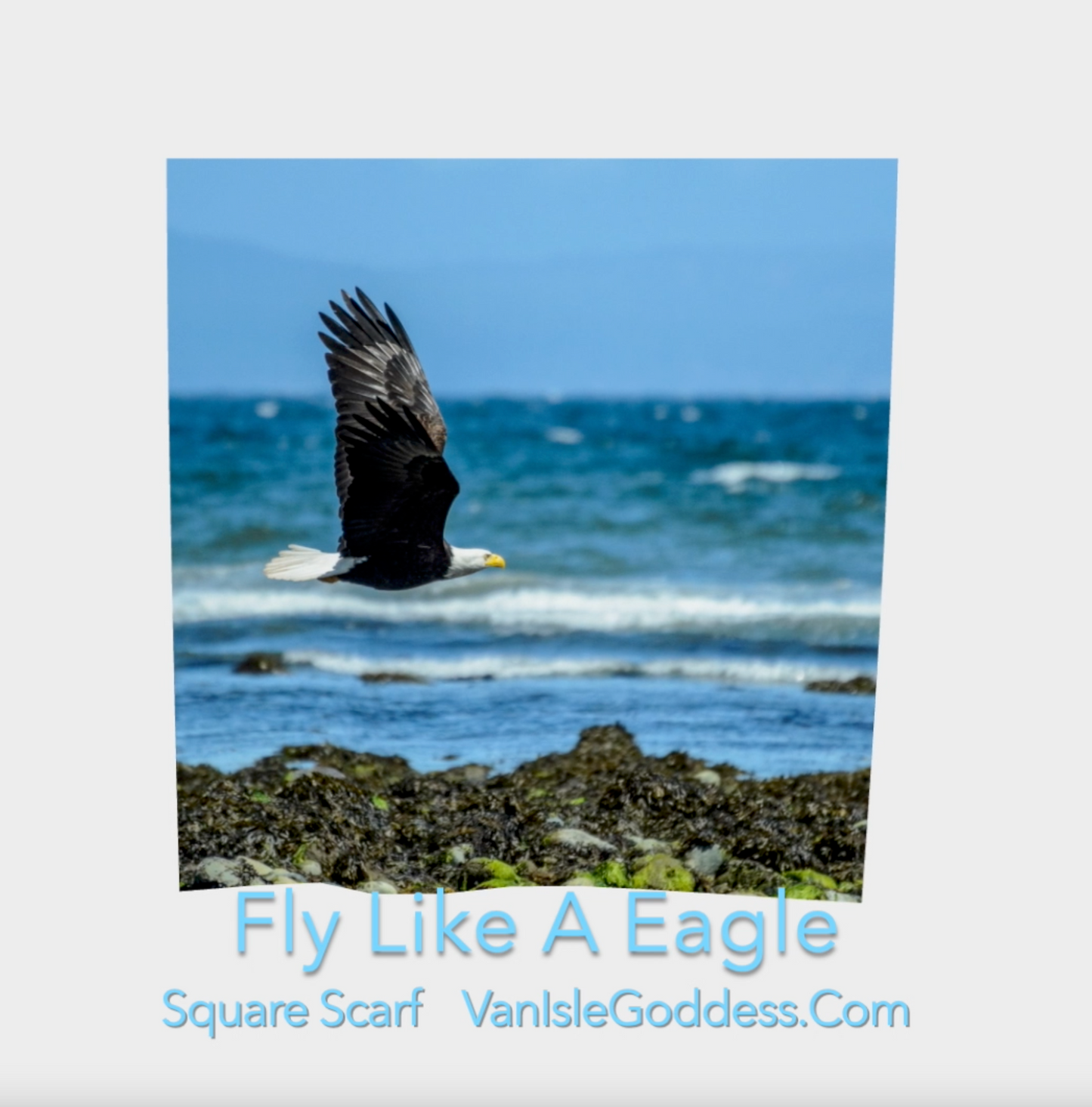 Fly Like A Eagle square scarf shown full size.