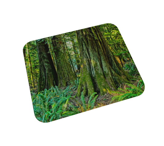 Giants of Cathedral Grove Desk Mat Mousepad