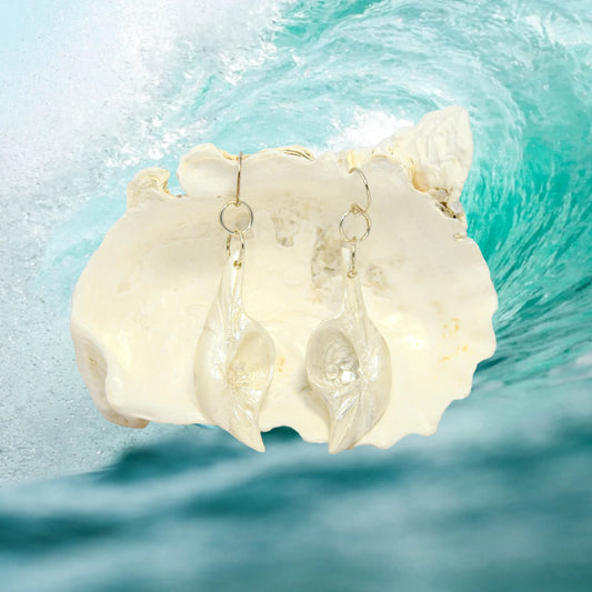 Dream Stone natural seashell earrings with herkimer diamonds. The earrings are shown hanging on a larger seashell with an ocean wave in the background.