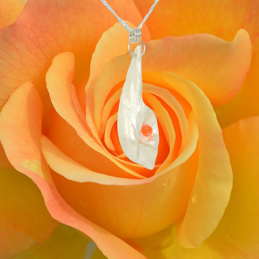 Tequila Sunrise natural seashell pendant a rose cut Carnelian gemstone. A beautiful orange rose is in the background.