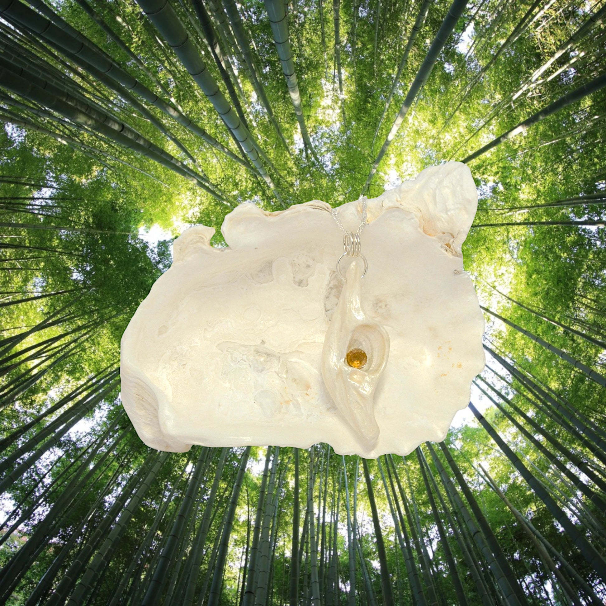 Seer is a natural seashell pendant with a beautiful 5mm rose cut Smokey Quartz compliments the pendant. The background is of tall trees when you look up.