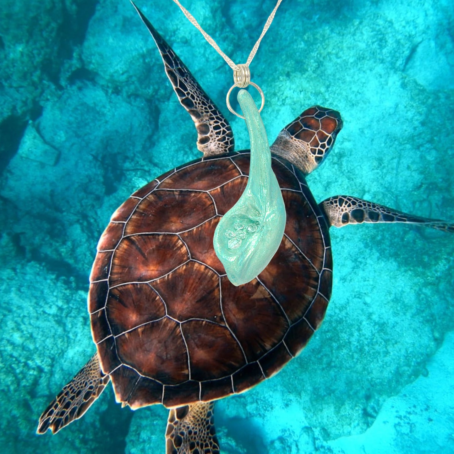 The Cascadia Pendant created with a natural seashell from the beaches of Vancouver Island.  The seashell is turquoise and has high quality herkimer diamonds. The pendant is laying on the top of the ocean and beneath is a turtle swimming.  