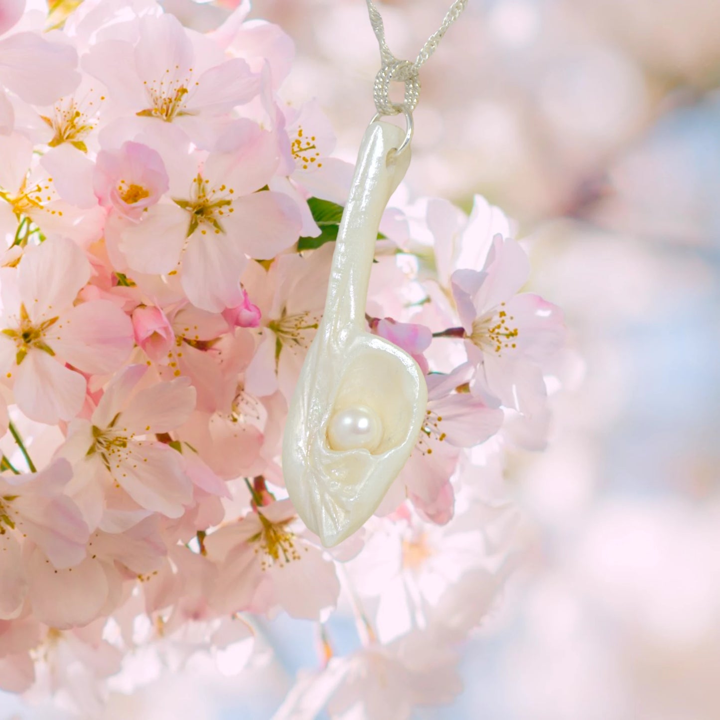 Amara is the name of this one of a kind pendant made from a natural seashell from the beach of Vancouver Island.  The pendant is showing its left side and has a real freshwater pearl.  The pendant is being showcased with cherry blossoms in the background.