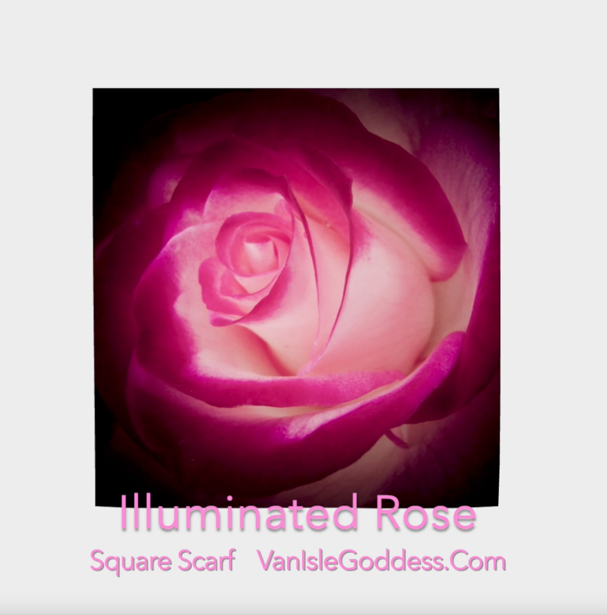 Illuminated Rose Square Scarf shown full size.