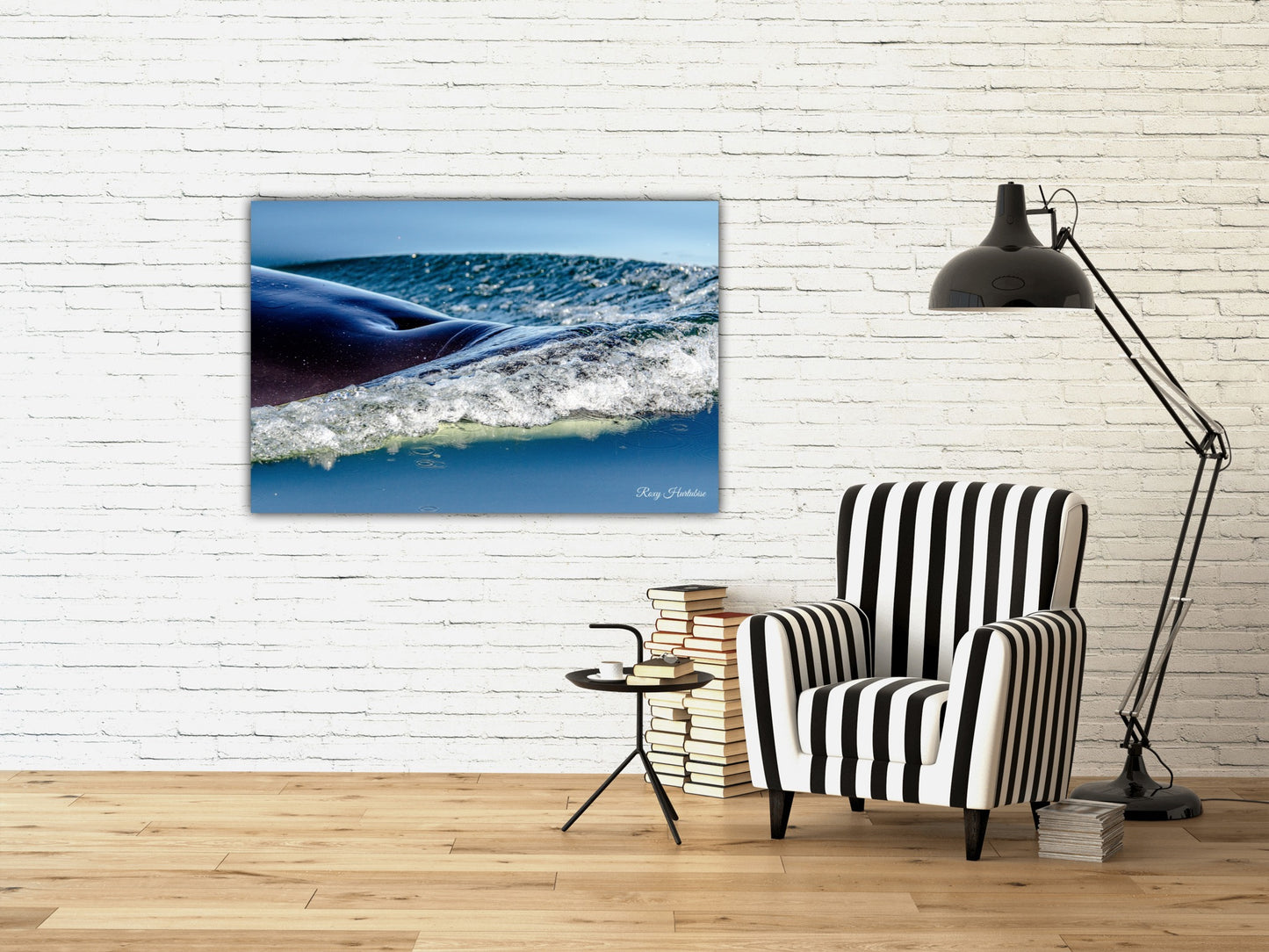 Orca to the Surface Photography by Roxy Hurtubise