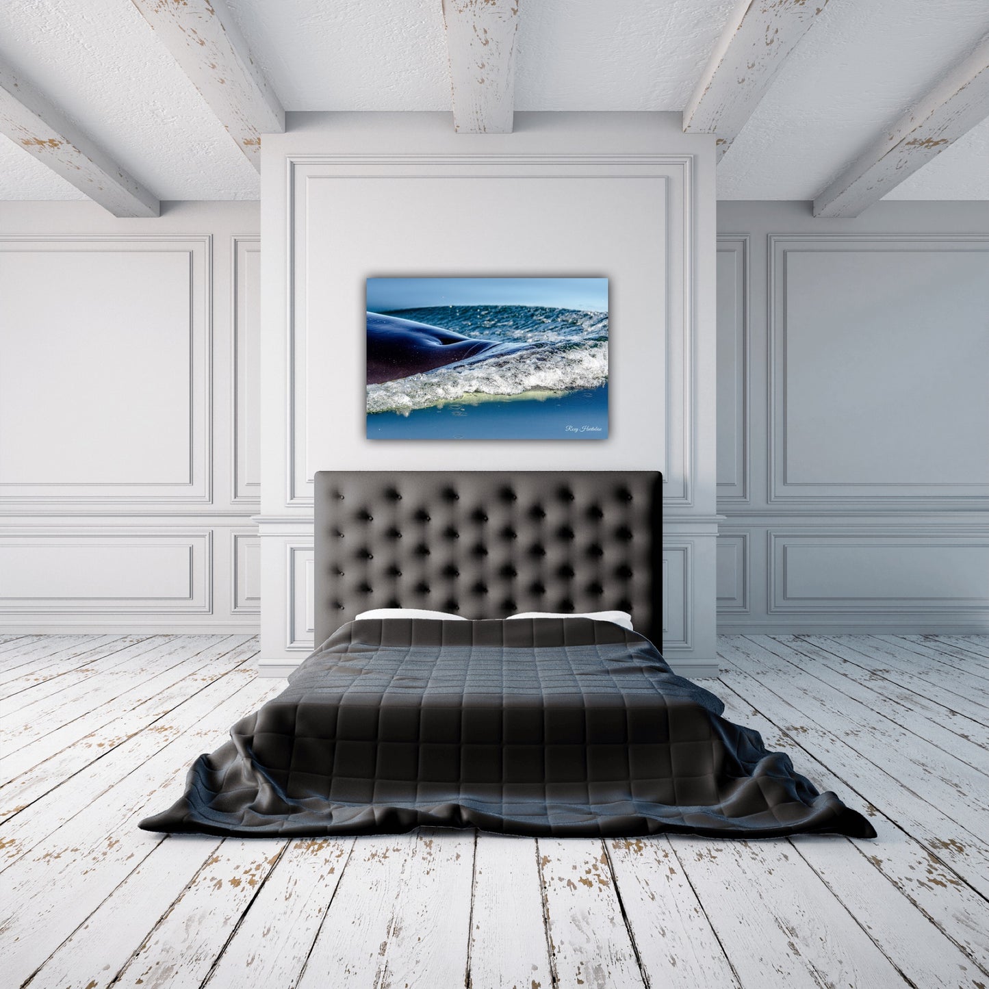 Orca to the Surface Photography by Roxy Hurtubise