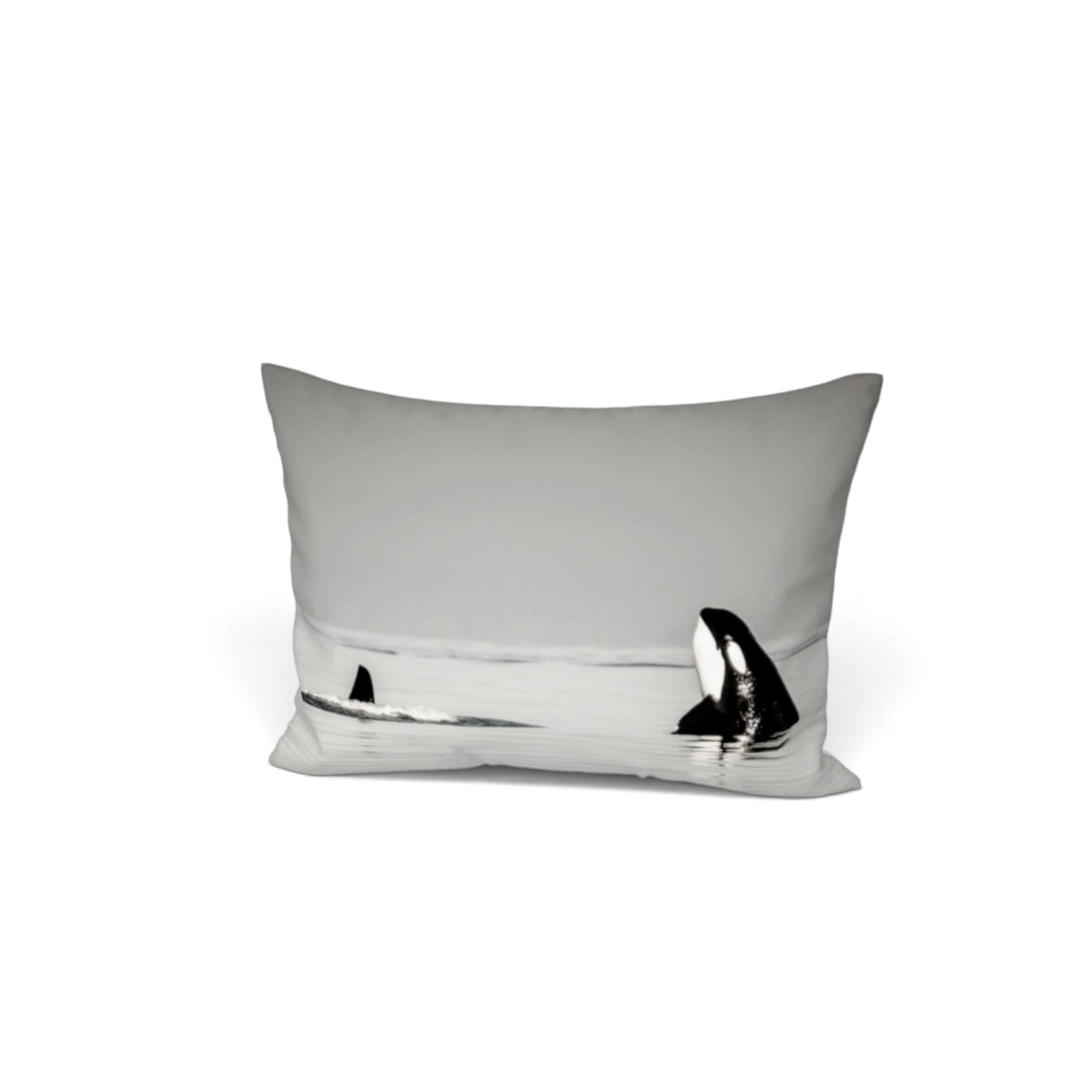 A rectangular throw pillow featuring a black and white photographic print of an orca whale, set against a solid white background.