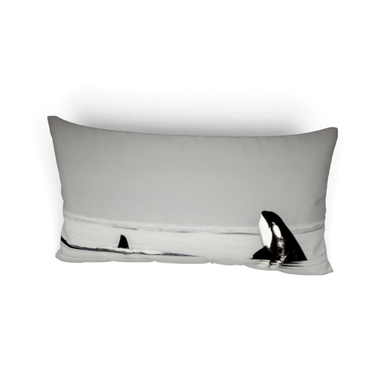 A rectangular lumbar pillow featuring a black and white photographic print of an orca and its fin on a light gray background.