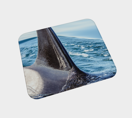 Orca Apex Desk Mat Mousepad