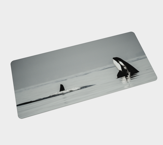 Orca Spy Hop Large Desk Mat