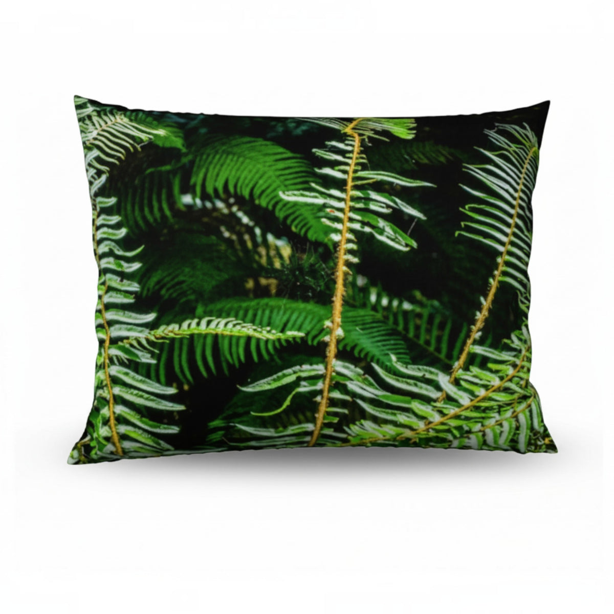 A square decorative throw pillow featuring a detailed print of lush green fern leaves on a black background, shown against a plain white studio backdrop.